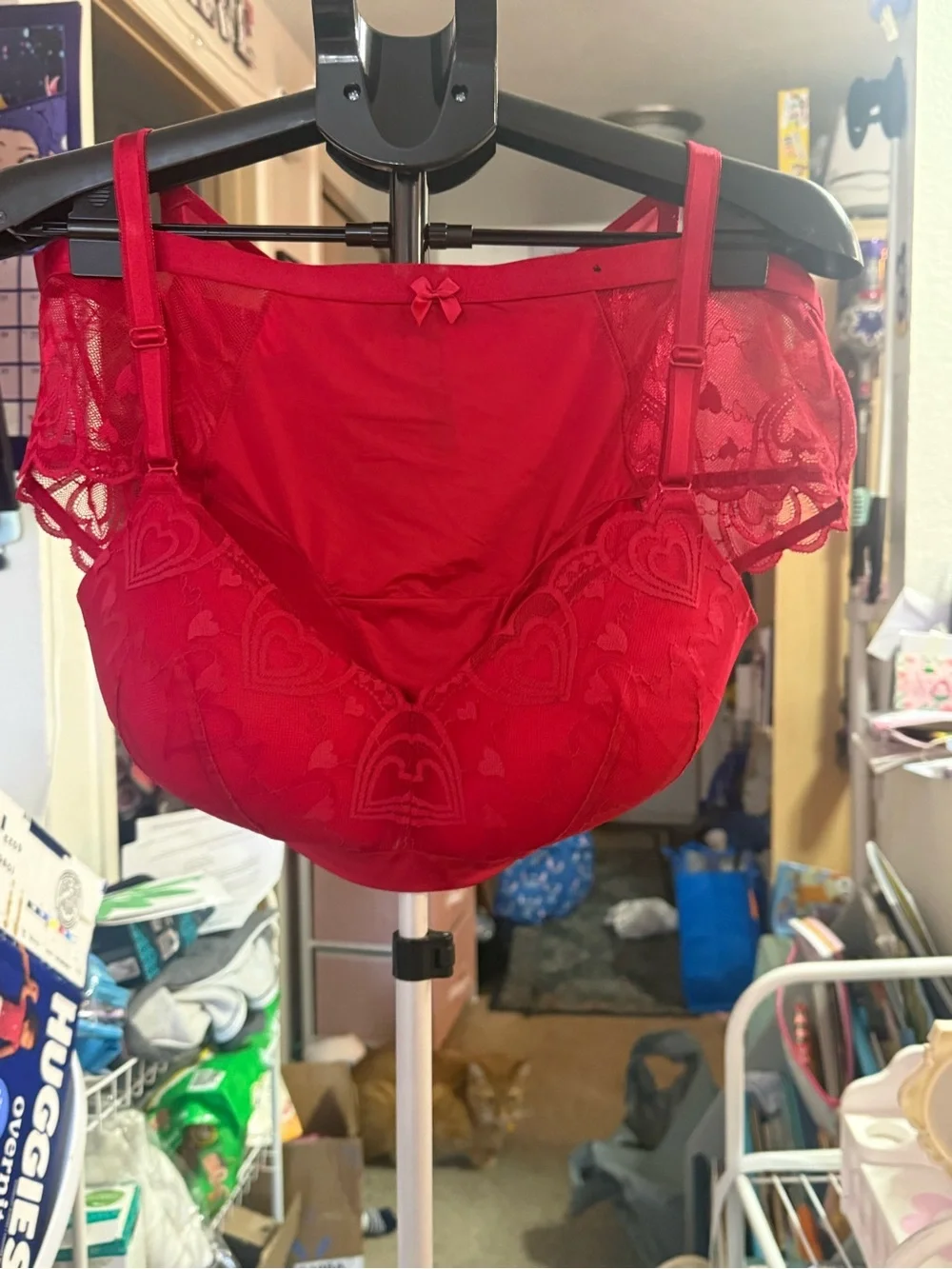 Torrid Red Lace Hearts Lightly Lined Bra and Brief Set